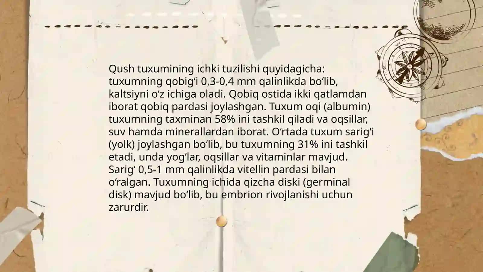 Qushlarning individual rivojlanishi 4