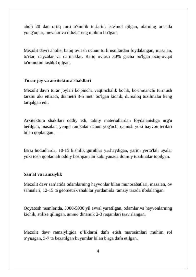 MEZOLIT DAVRI LOKAL MADANIYATLARI 4