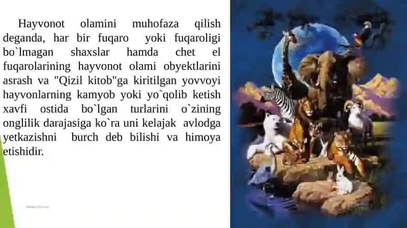 Hayvonot dunyosini muhofaza qilish yo’llari 4
