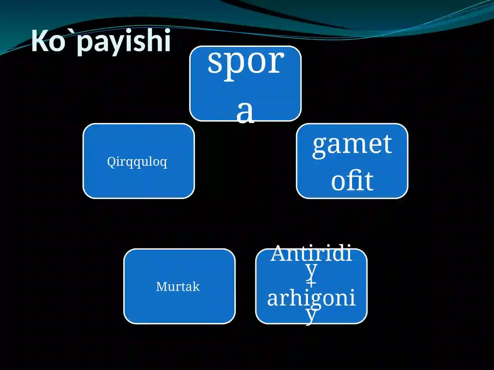 Qirqbo`g`imlardan Farqi 4