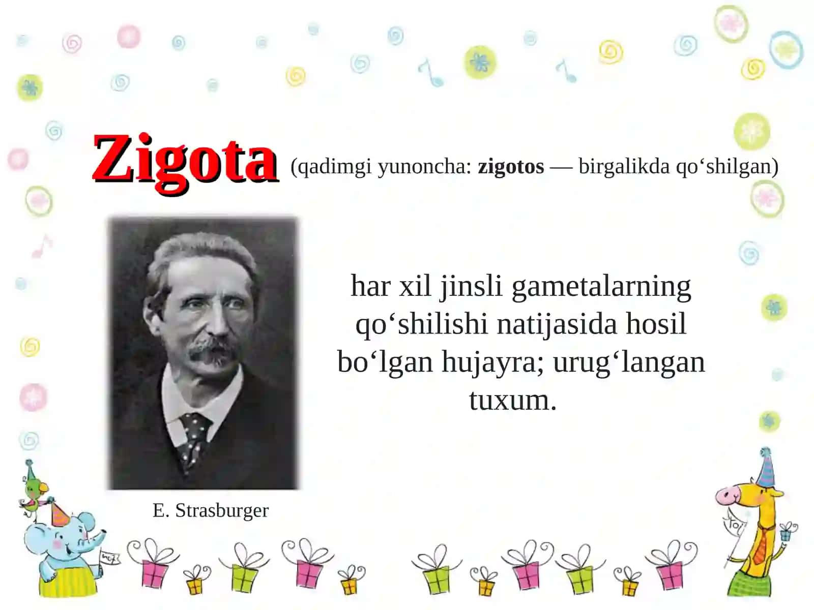 Zigota 4