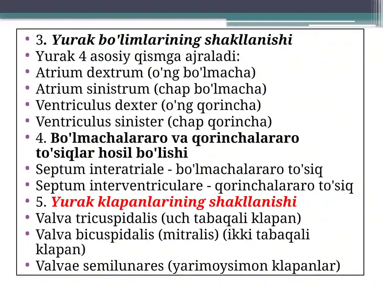 Yurakning rivojlanish nuqsonlari 4