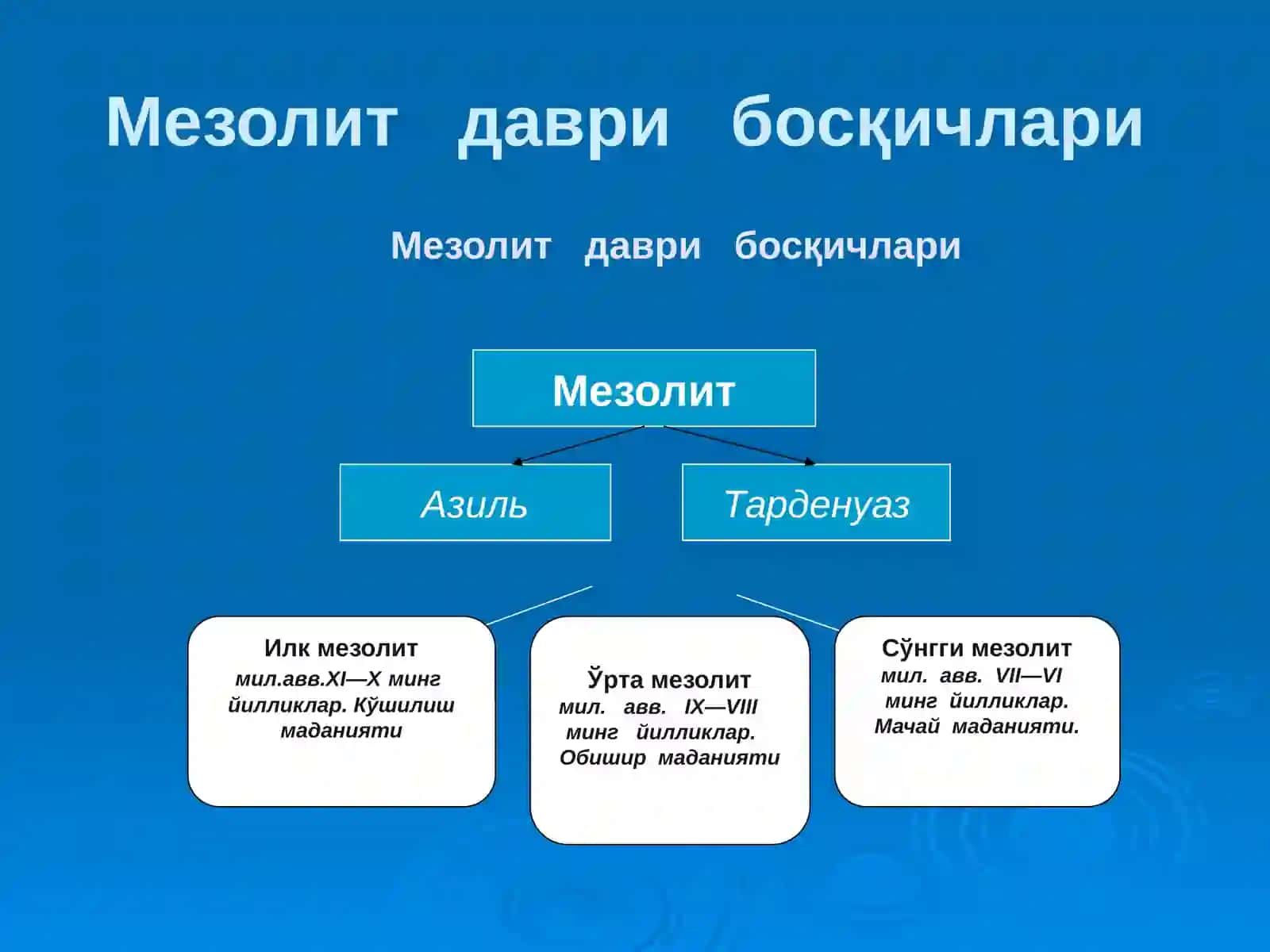 Мезолит даври археологияси 4