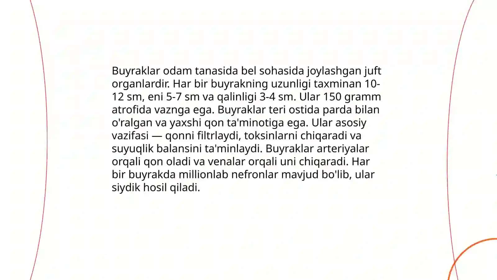 Siydik ayiruv a'zolarining funktsional anotomiyasi 4