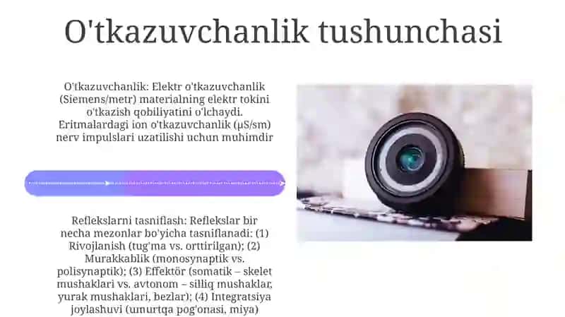 Reflekslar tuzilishi va tasnifi 4