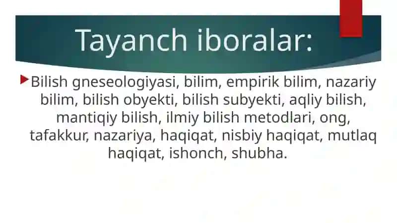 Falsafa fanidan slayd taqdimoti 4