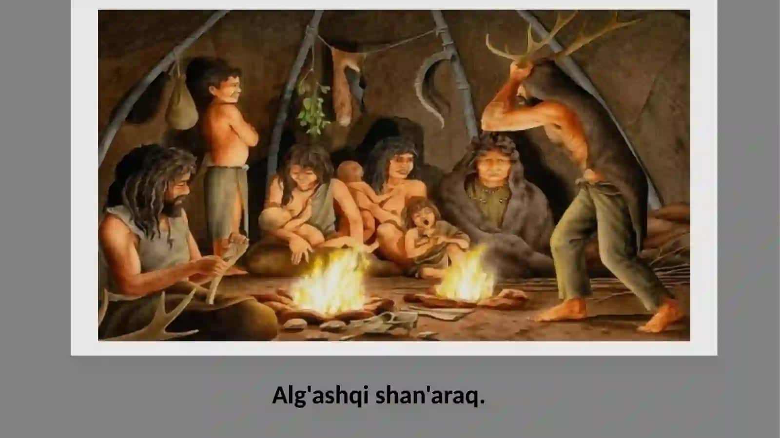 Insan evolyutsiyasi va tariyxi 4
