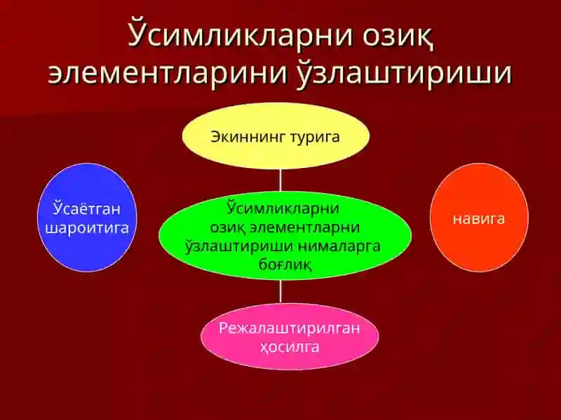 Тупроқнинг озиқ режими ва уни бошқариш уссулари 4
