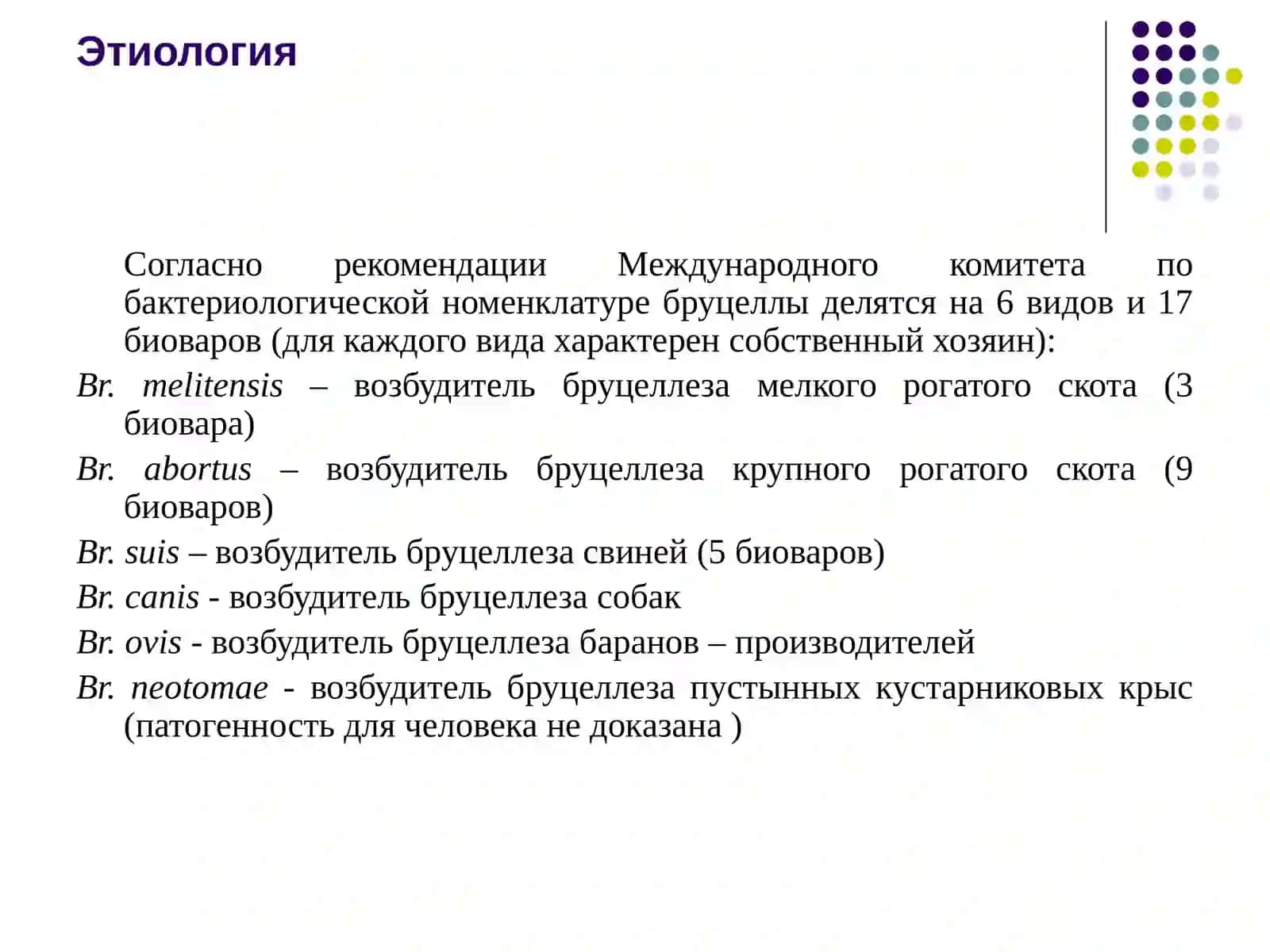 Бруцеллез 4
