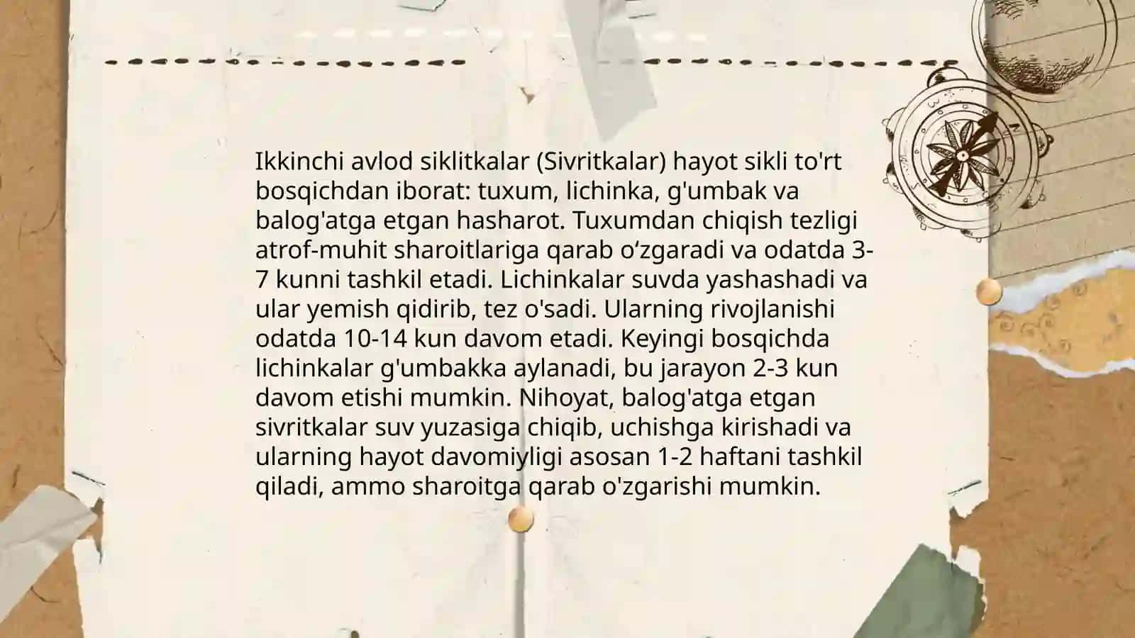 Sivritkalar haqida ma'lumot 4