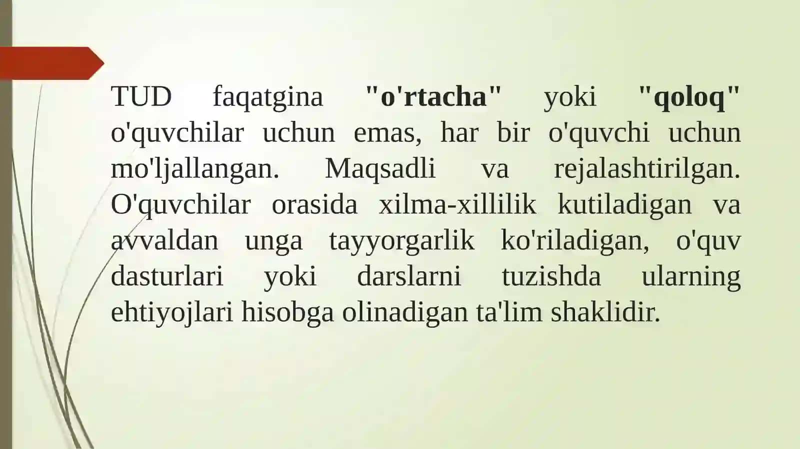 Ta’limning universal dizayni va individual ta’lim dasturi 4