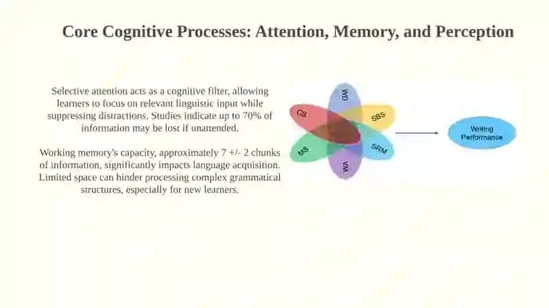 Cognitive factors in language learning 4