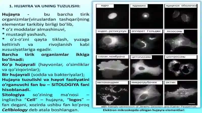 Hayotning molekulyar asoslari 4