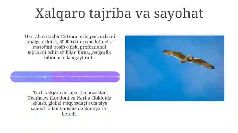 Mening kelajakdagi kasbim: Styuardessa 4
