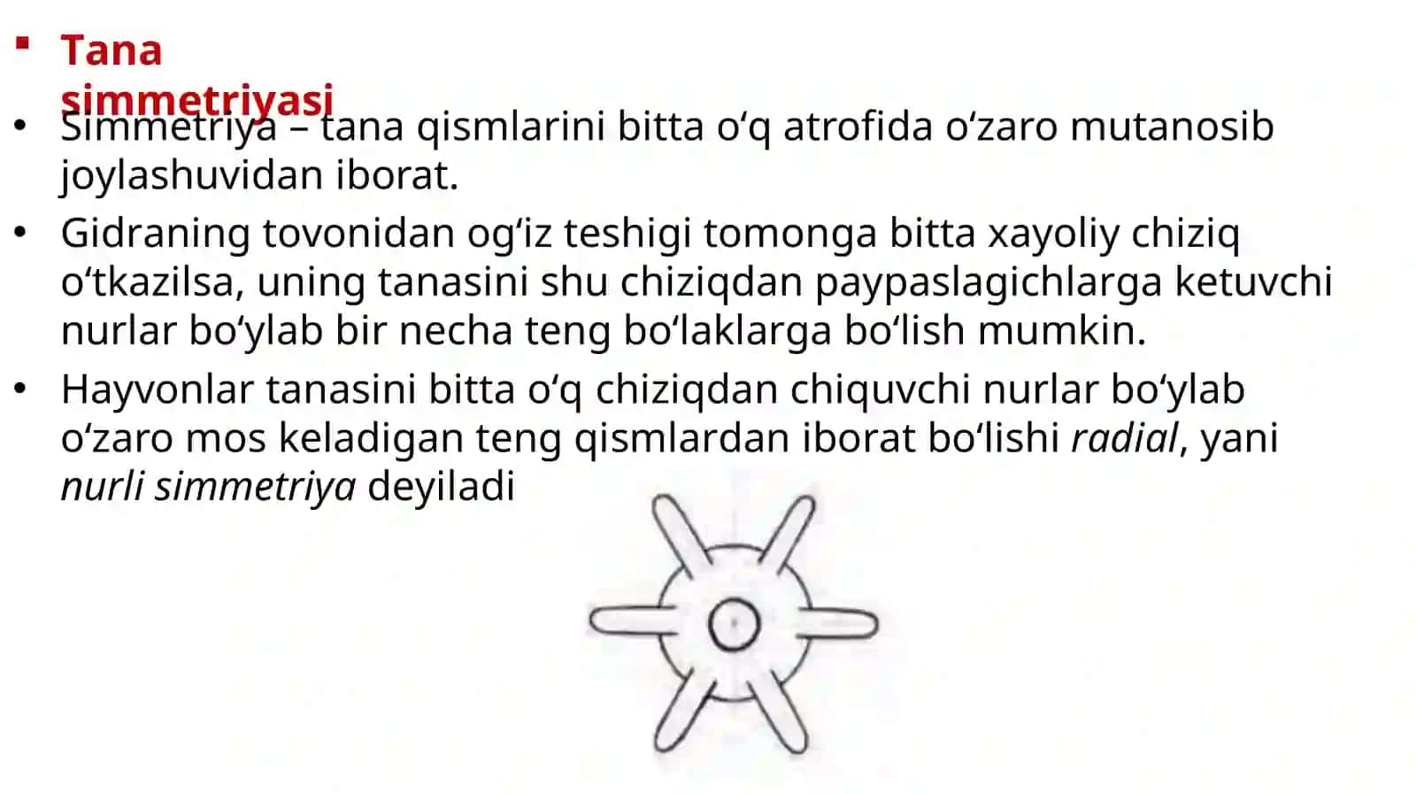 Zoologiya 2-dars 4
