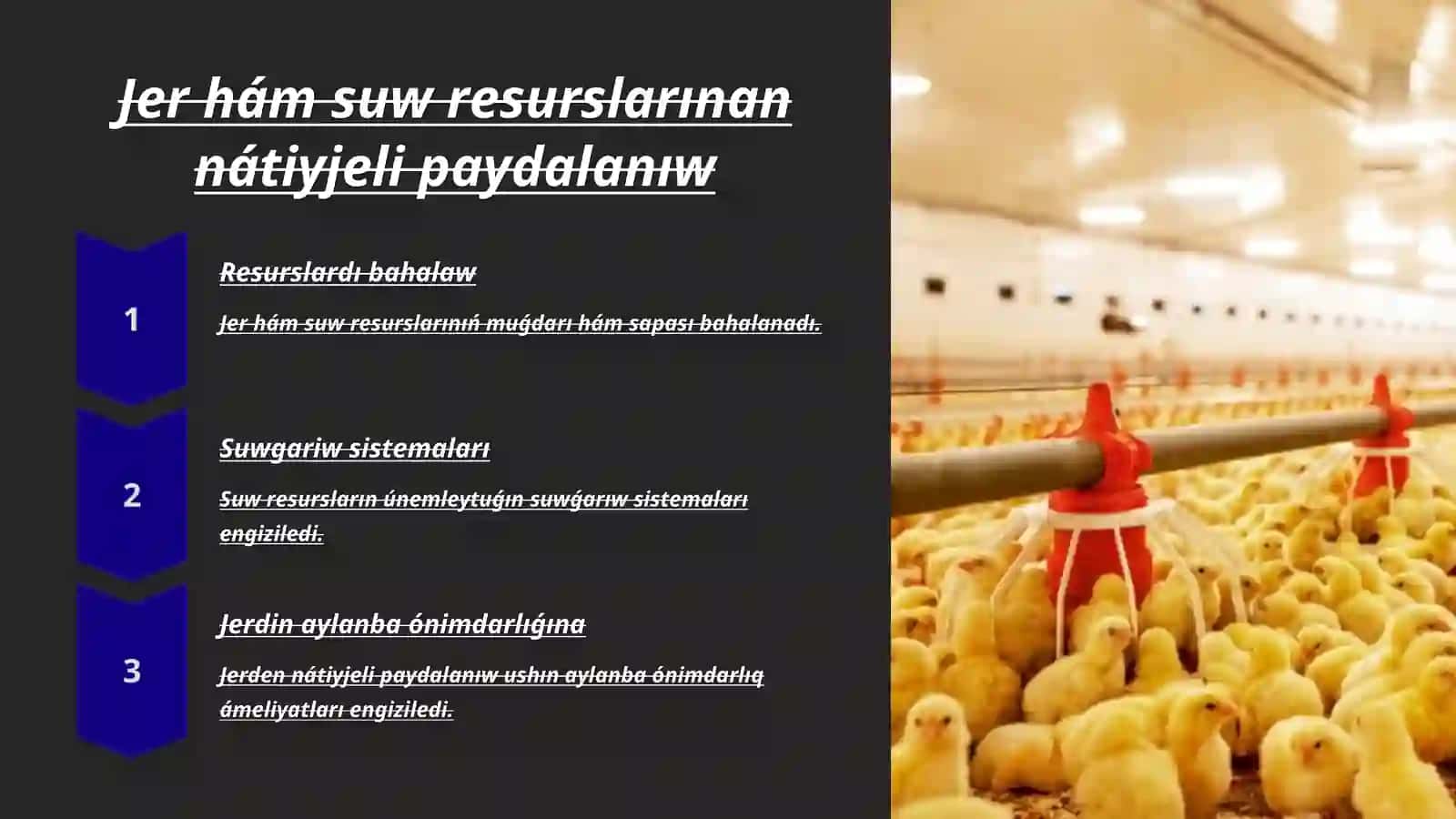 Kóp tarmaqlı fermer xojalıqlardı payda etiw hám basqarıw 4