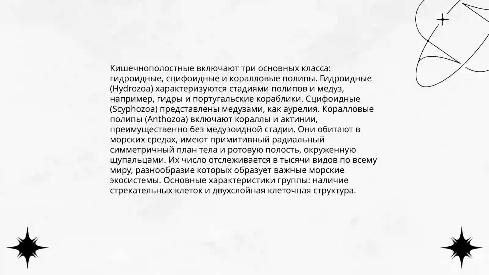 Кишечнополостные 4