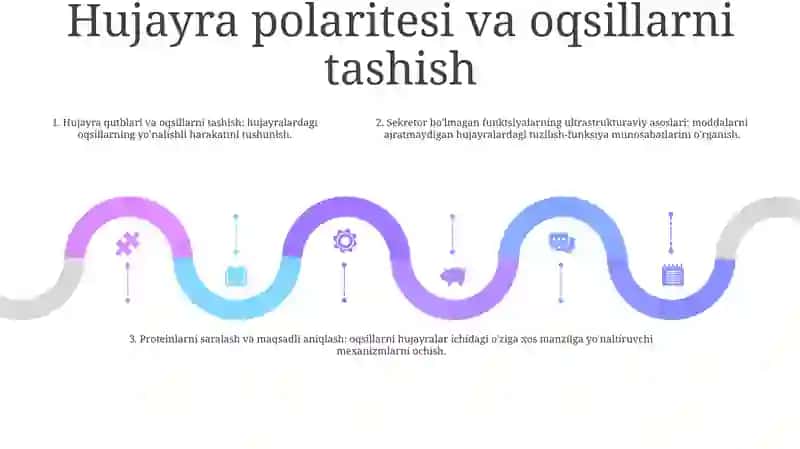 Bez Sekretsiyasining Ultrastruktura Asoslari 4