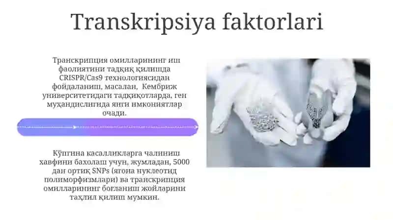 Genetik Muhandislik Fermentlari 4