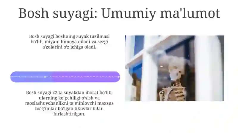 Yuz suyaklari anatomiyasi 4