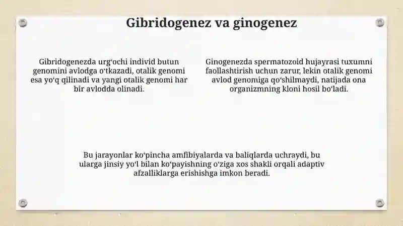 Jinsiy kopayishning norasmiy tiplari 4