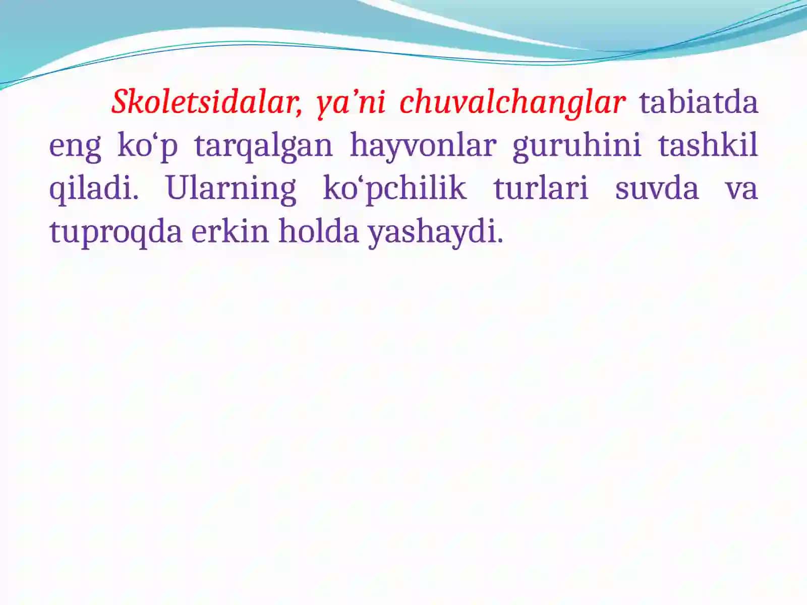 Yassi chuvalchanglar (Plathelminthes) tipi 4