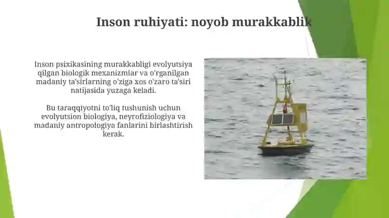 Psixikaning filogenetik taraqqiyoti 4