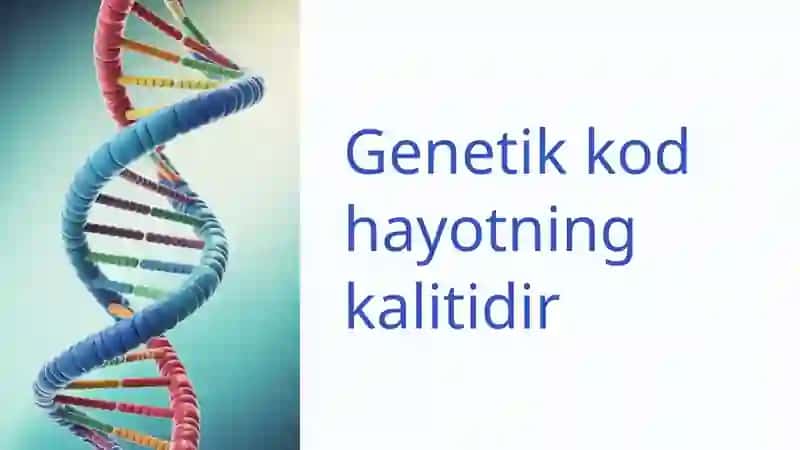 Tirik organizmlarning asosiy xususiyatlari 4