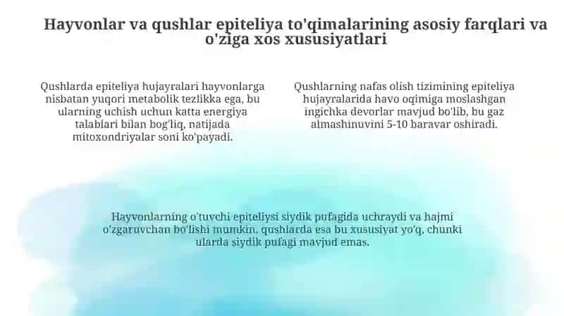 Epiteliya to'qimalari 4