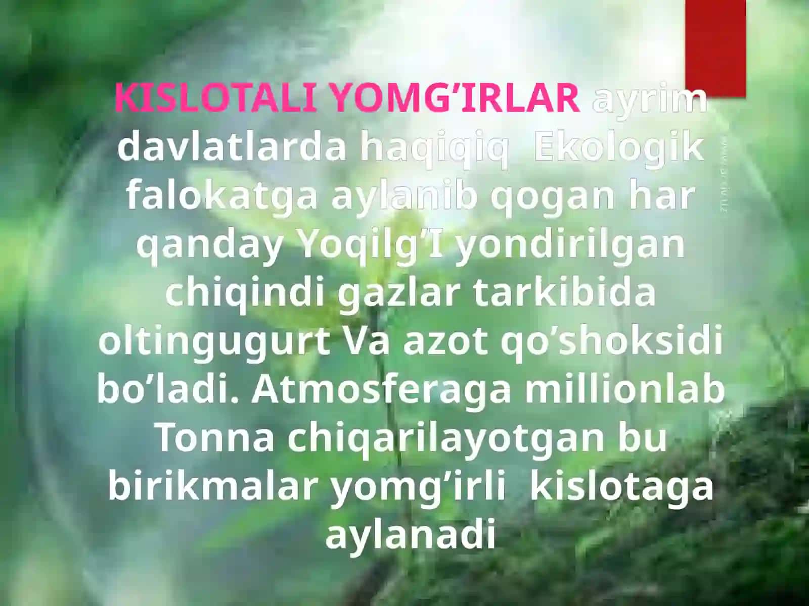 Kislotali yomg'irlar 4