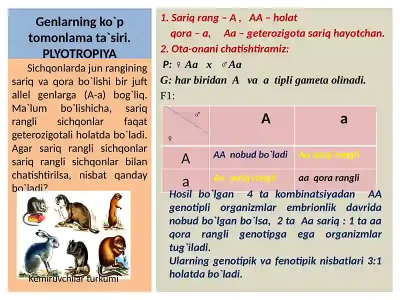 PLYOTROPIYA 4