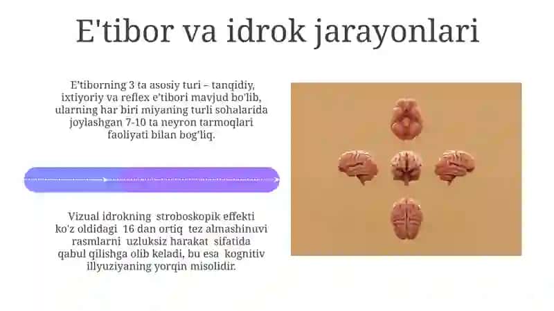 Kognitiv Psixologiya 4