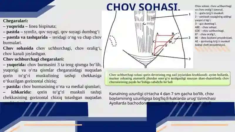 Tossohasining(Chanoqbo‘shlig‘ia’zolari)topografikanatomiyasi,operativxirurgiyasi 4