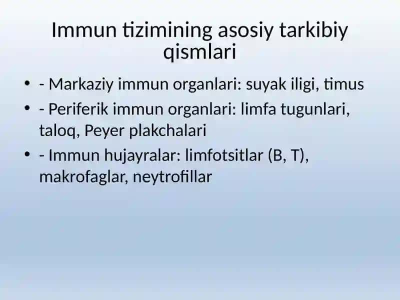 Immun himoya reaksiyalarining morfologik asoslari 4