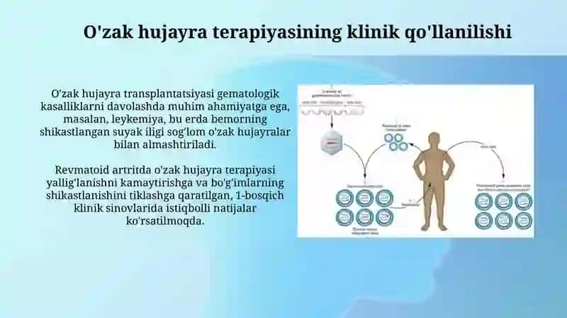 Ildiz hujayra terapiyasi 4