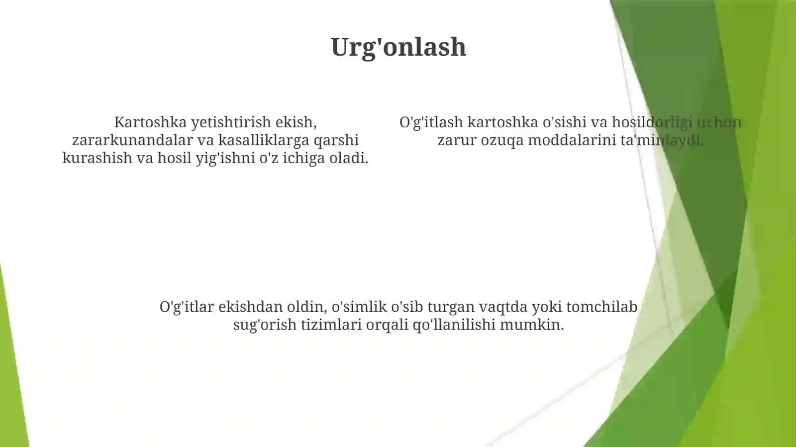 Kartoshka Yetishtirish 4