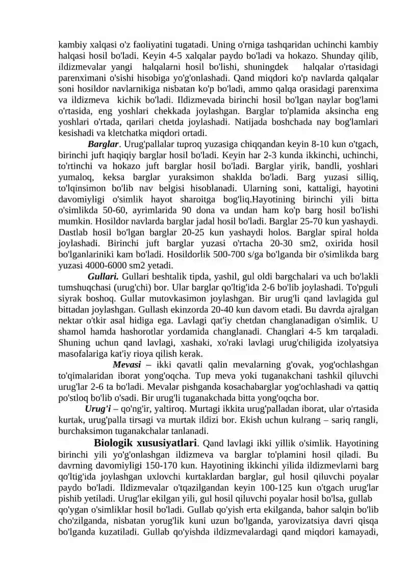 Ildiz mevali o’simliklar 4
