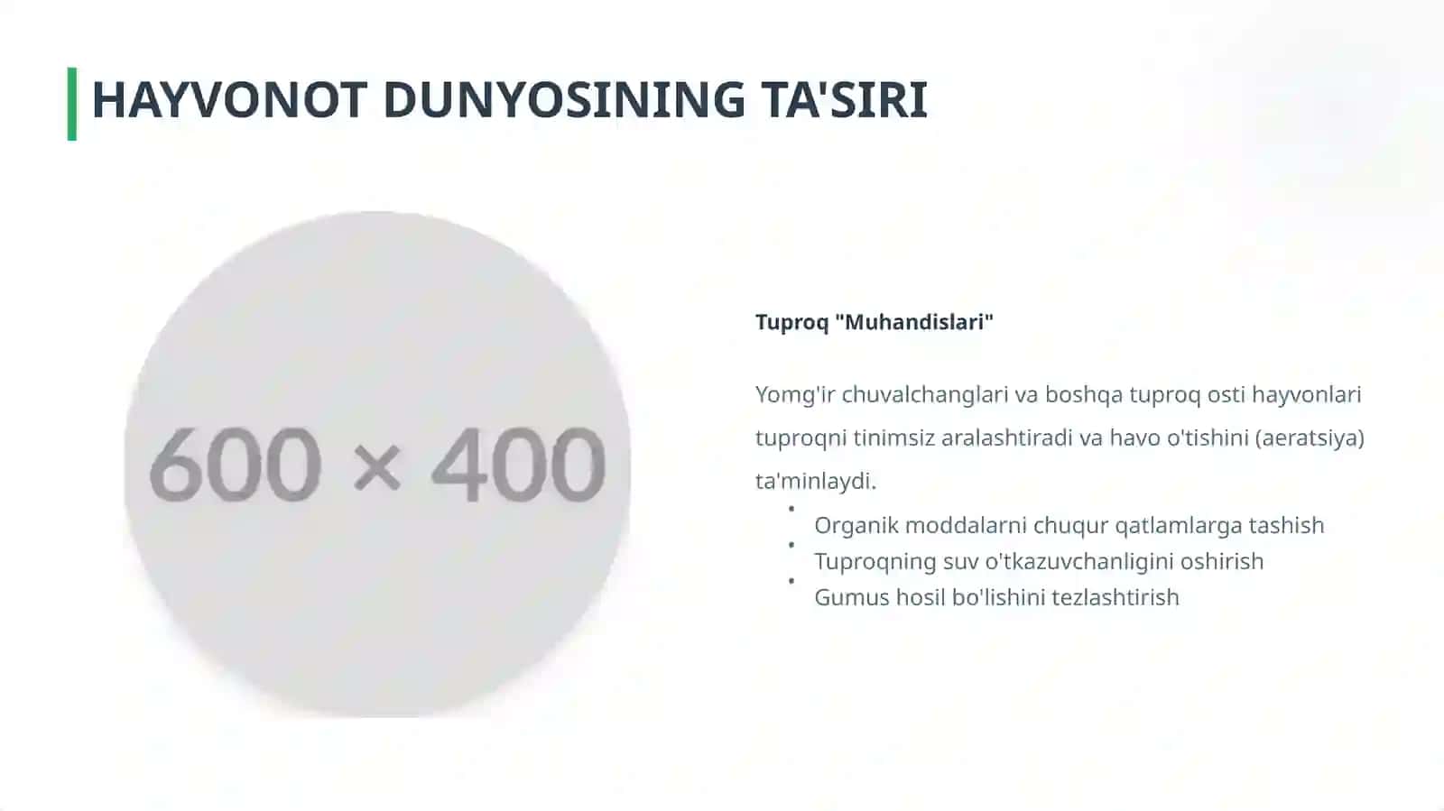 Organizmlar va Tuproq hosil bo'lishi 4