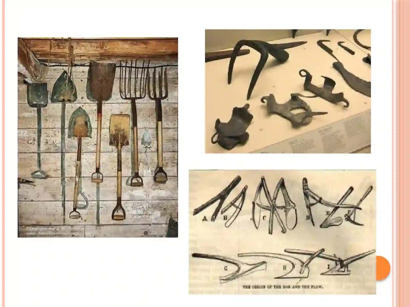Деҳқончилик ривожланиши ва агрономиянинг тарихи 4