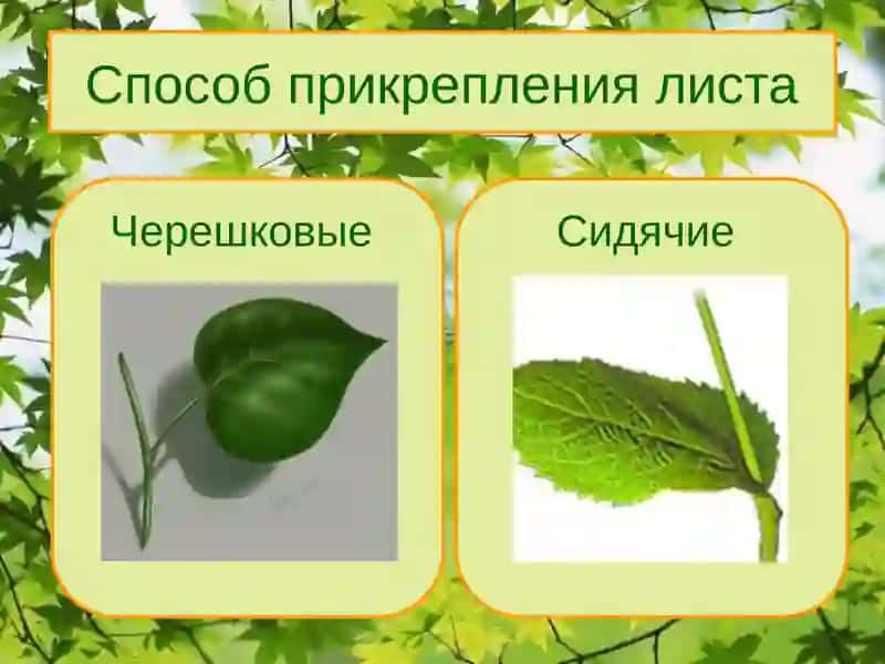 Лист 4