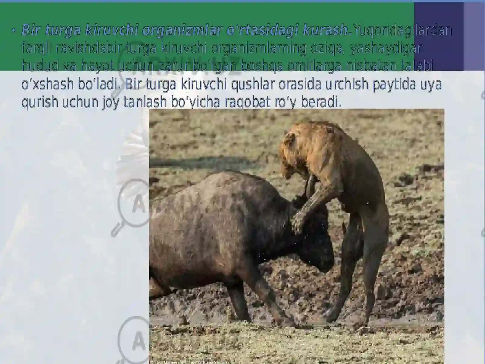 Yashash uchun kurash 4