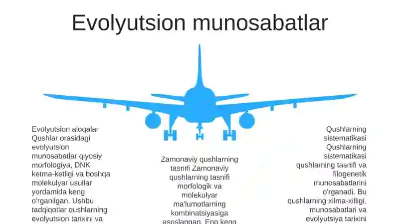 Qushlar Sistematikasi 4