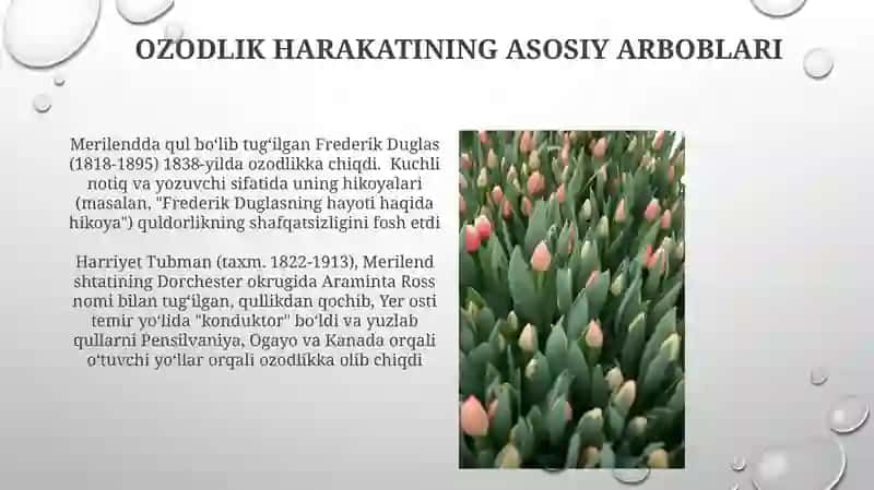 Emansipatsiya 4