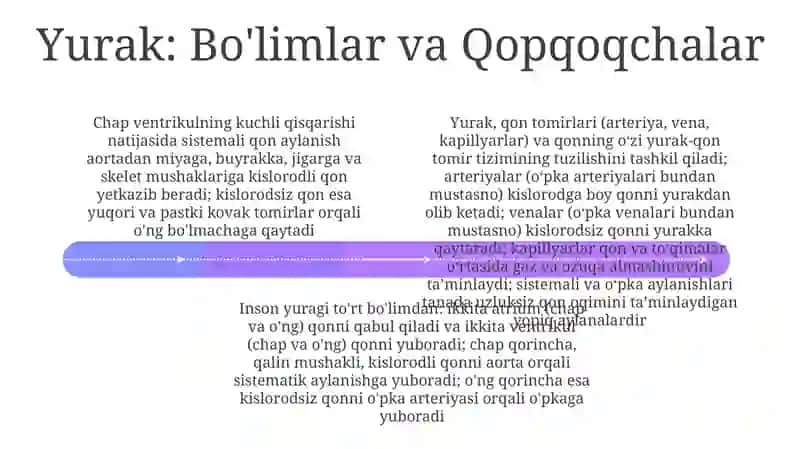 Yurak-qon tomir tizimi tuzilishi 4