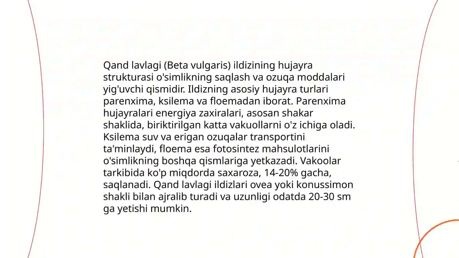 Qand lavlagi ildizining tuzilishi 4
