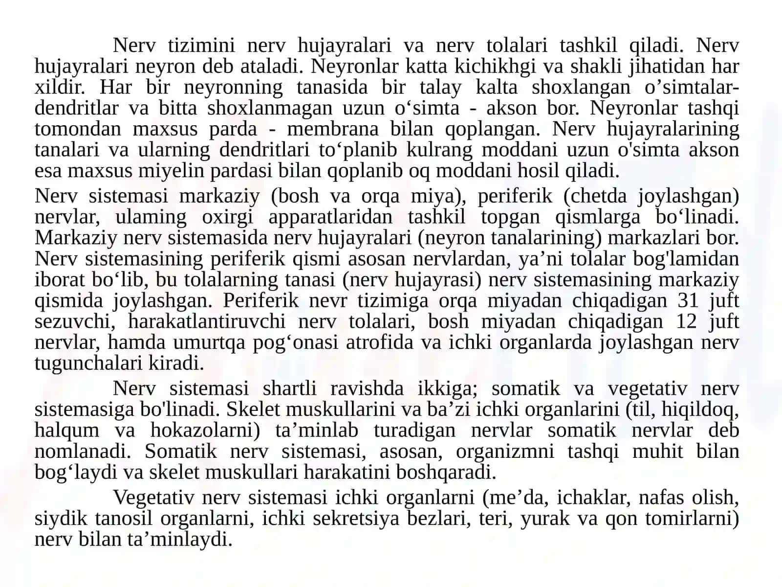 Nerv tizimi 4