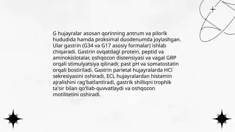 Meda ichak nayining endokrin hujayralari 4