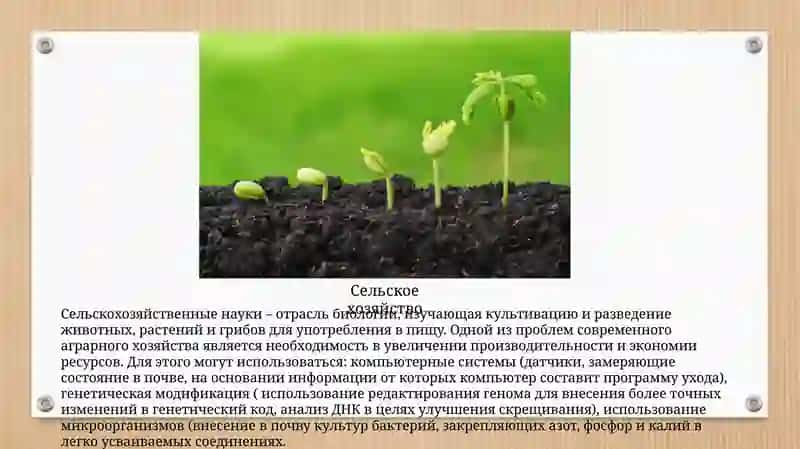 Фармакология 4