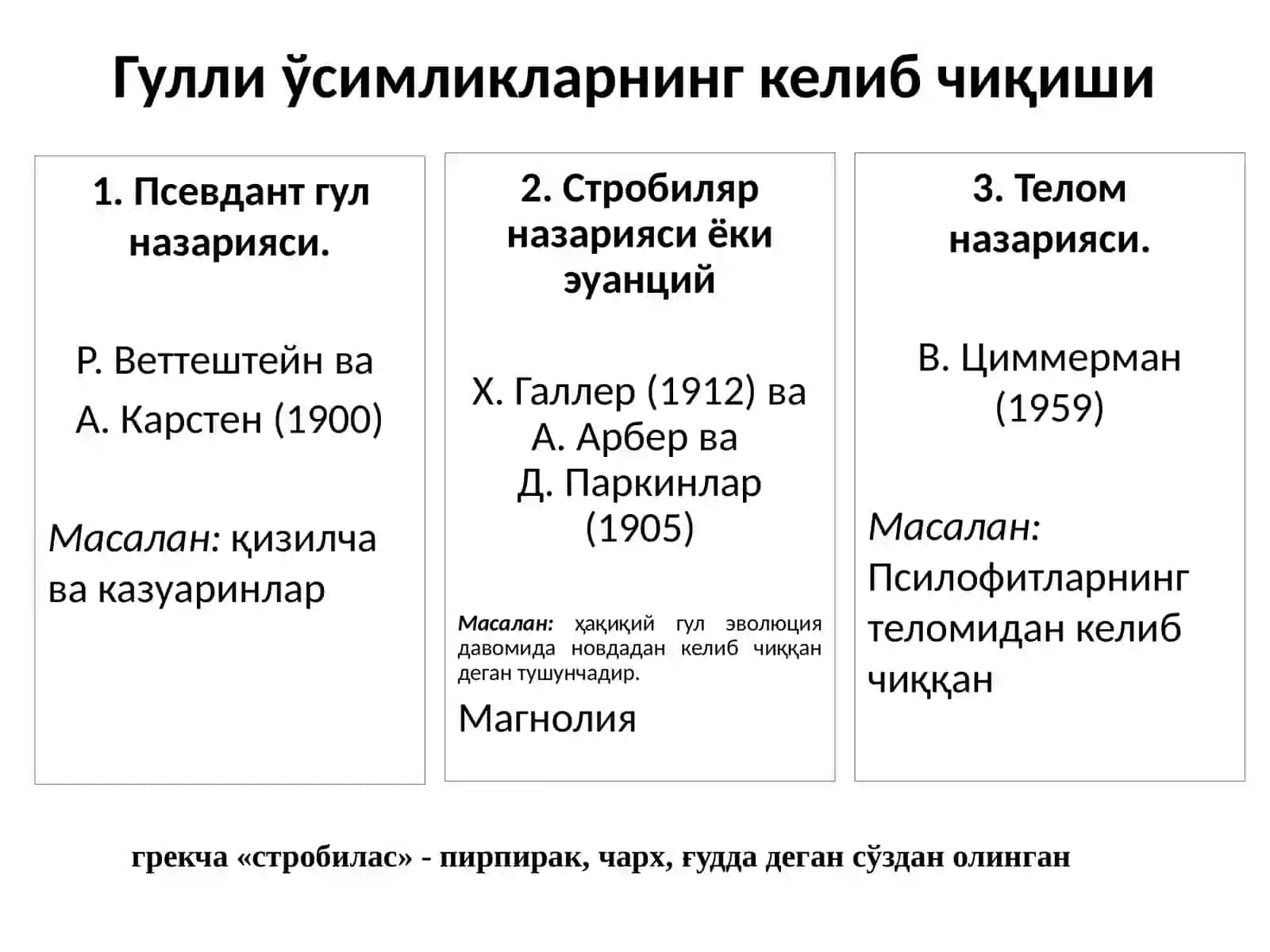 Генератив органлар. Гул 4