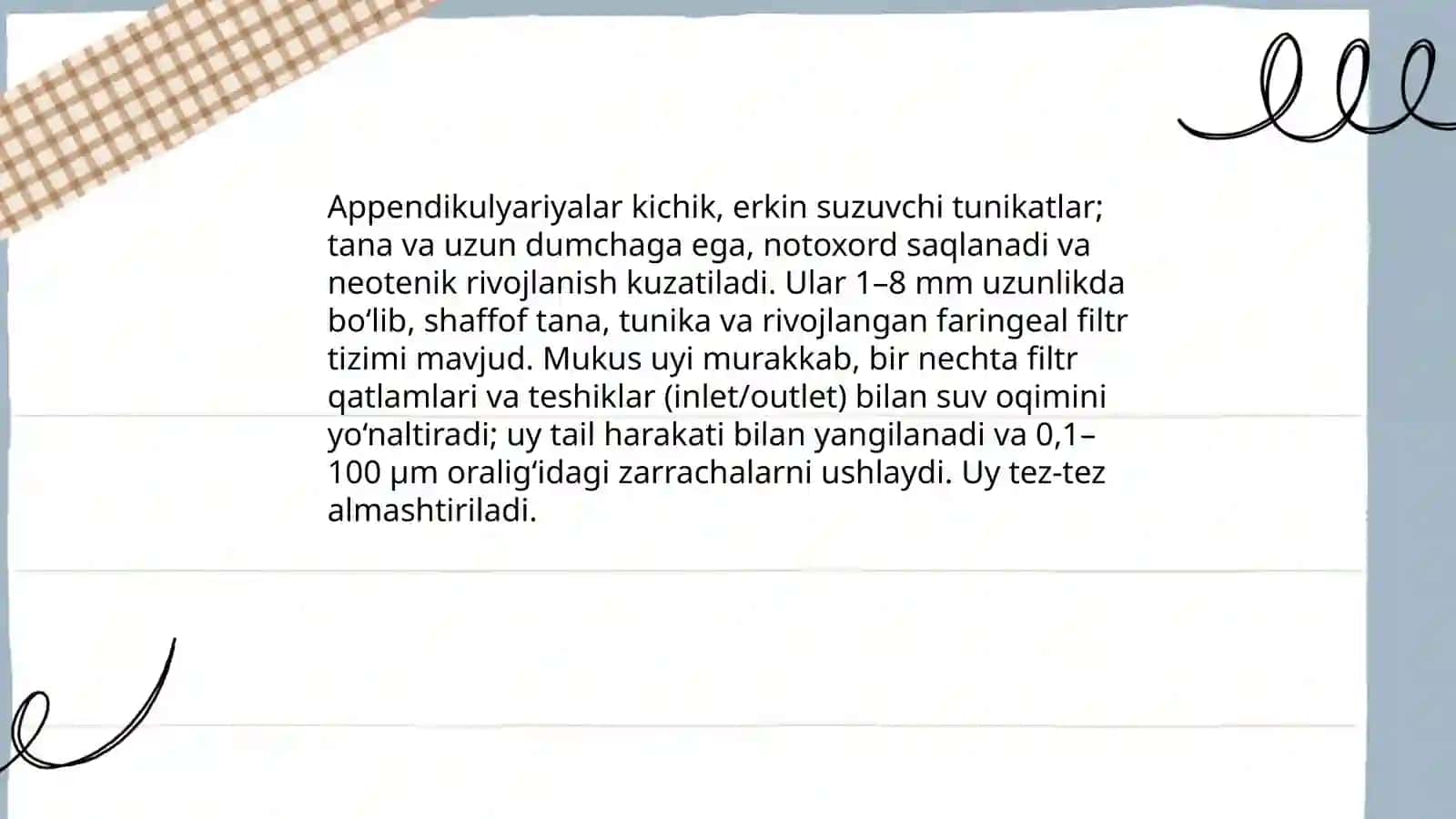 Sal’plar va appendikulyariyalar sinfi 4